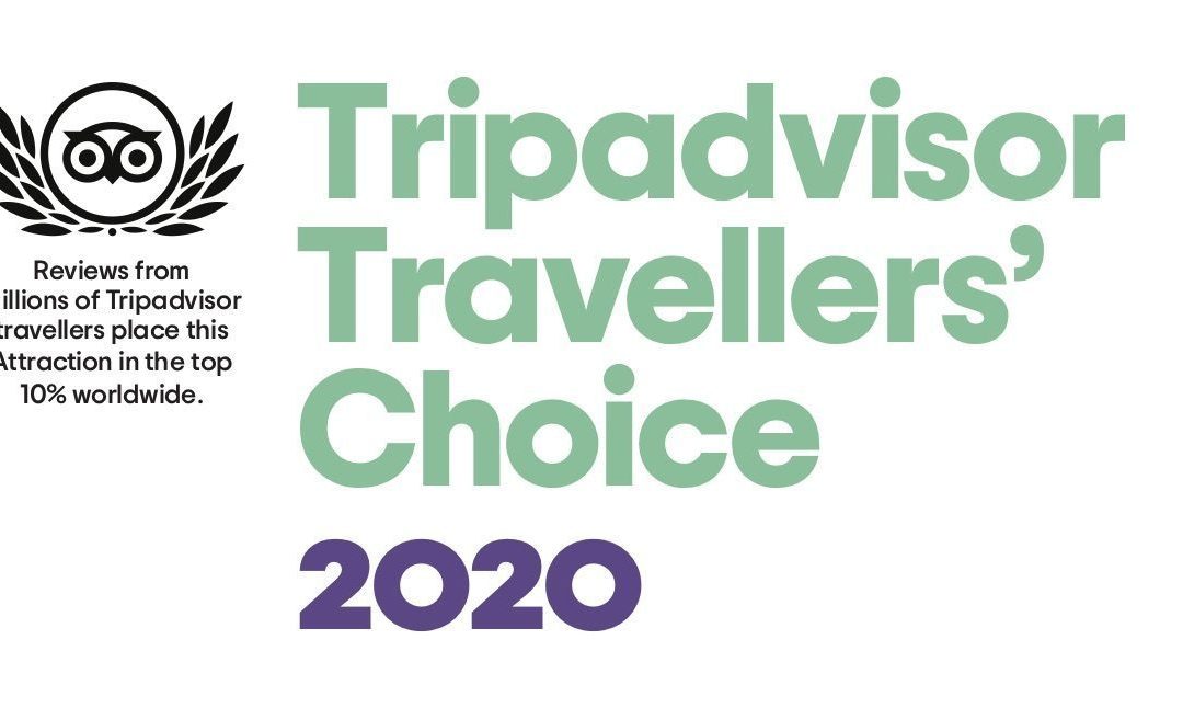 Travellers’ Choice 2020