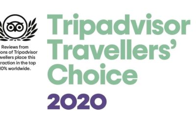 Travellers’ Choice 2020